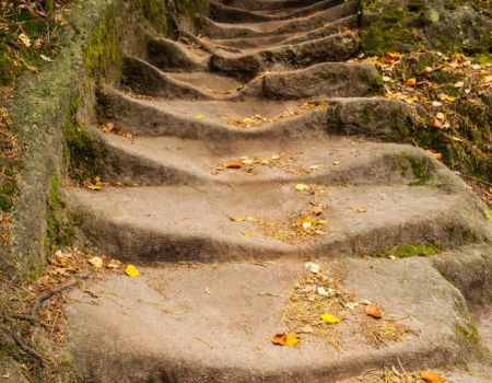 Self-Esteem and Confidence