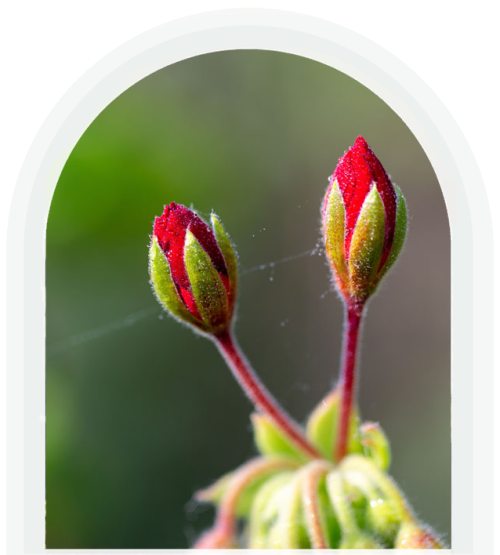 Grief & Bereavement.