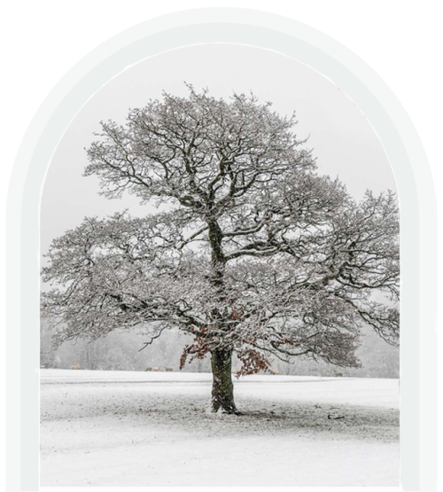 Grief & Bereavement.